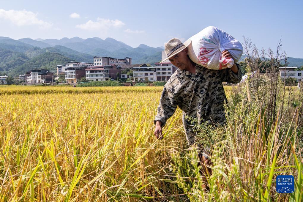捕鱼能下分